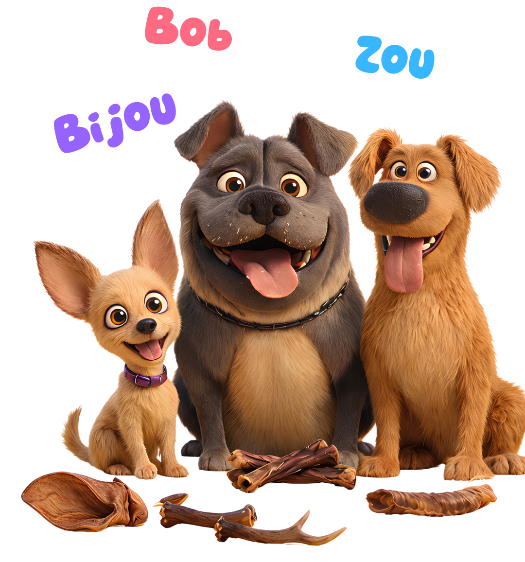 Bijou, Bob et Zou - les mascottes Crok'moiça